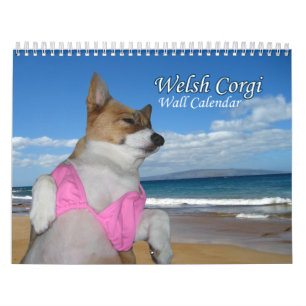 Beautiful Welsh Corgi Kalender