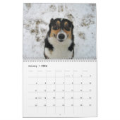 Beautiful Welsh Corgi Kalender (Jan 2026)