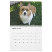 Beautiful Welsh Corgi Kalender (Feb 2027)