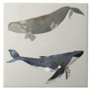 Beautiful Whales Keramik Küche Tile Fliese