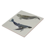 Beautiful Whales Keramik Küche Tile Fliese (Seite)