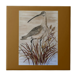 Beautiful Whimbrel Tile Fliese