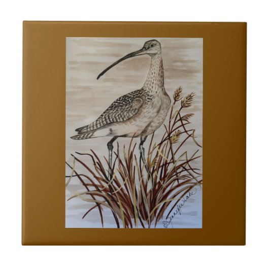 Beautiful Whimbrel Tile Fliese (Vorderseite)