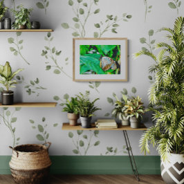 Beautiful White and Brown Butterfly Fotodruck