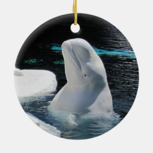 Beautiful White Beluga Whale Holiday Keramik Ornament (Hinten)