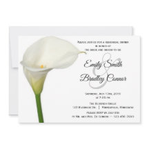 Beautiful White Calla Lily Probe Dinner