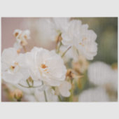 Beautiful White Korbin Roses Close-Up Photograph Seidenpapier (Vorderseite)