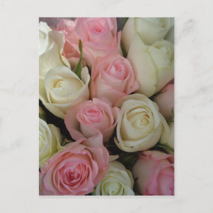 Beautiful White Roses Blume Bouquet Postkarte