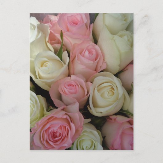 Beautiful White Roses Blume Bouquet Postkarte (Vorderseite)
