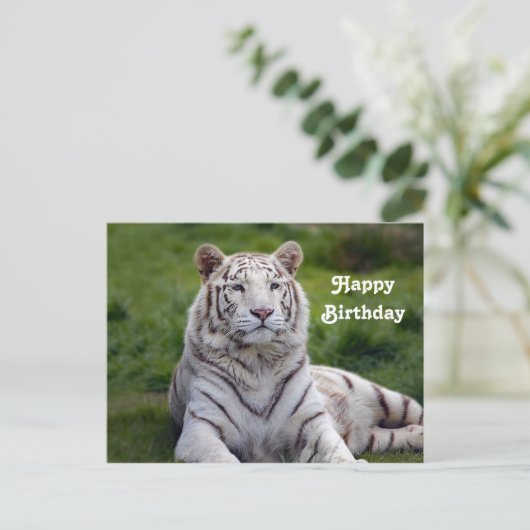 Beautiful White Tiger Foto Geburtstag Postkarte (Stehend Vorderseite)
