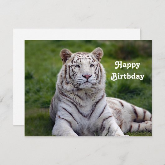 Beautiful White Tiger Foto Geburtstag Postkarte (Vorne/Hinten)