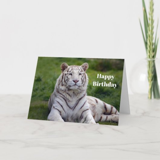 Beautiful White Tiger Photo Birthday Karte (Vorderseite)