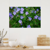 Beautiful Wild Geraniums Poster (Küche)