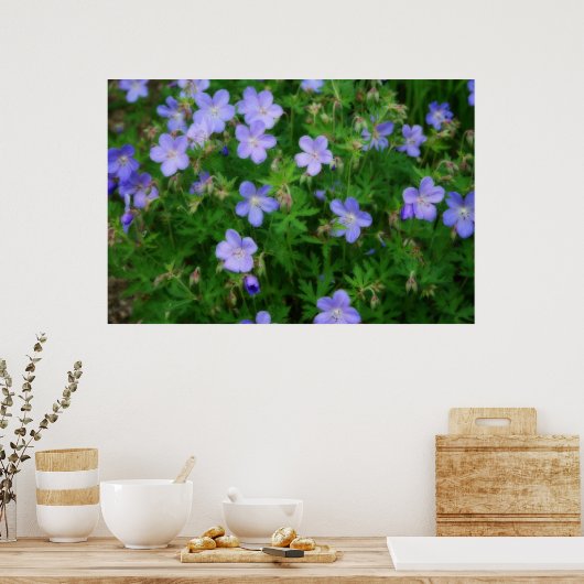 Beautiful Wild Geraniums Poster (Küche)