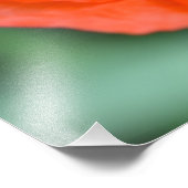 Beautiful Wild Red Poppy Fotodruck (Ecke)