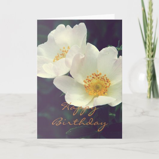 Beautiful Wild Rose Happy Birthday Card Karte (Vorderseite)