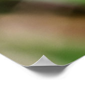 Beautiful Wings Poster (Ecke)