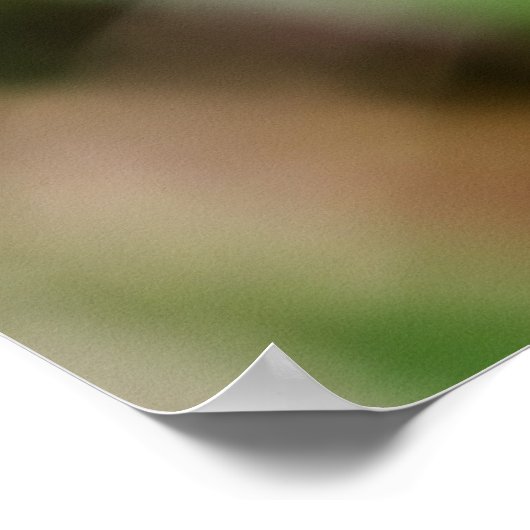 Beautiful Wings Poster (Ecke)