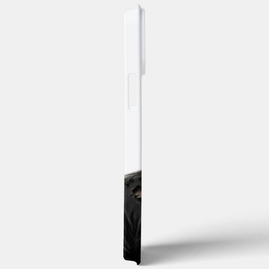 Beautiful wolf cover (Rückseite / Rechts)