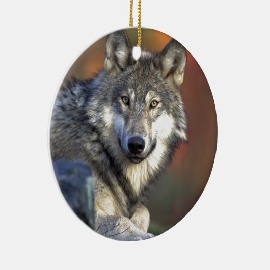 Beautiful Wolf Keramik Ornament (Rechts)