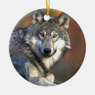 Beautiful Wolf Keramik Ornament
