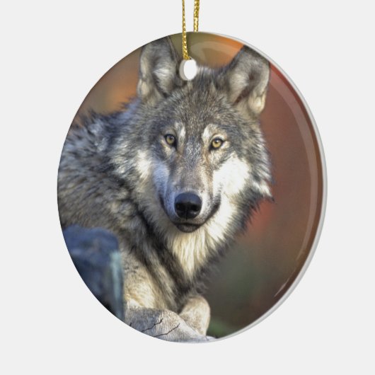 Beautiful Wolf Keramik Ornament (Links)