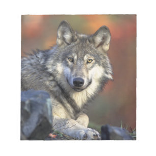 Beautiful Wolf Notizblock