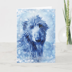 Beautiful Wolfhound Deerhound Christmas Card Feiertagskarte