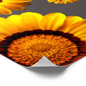 Beautiful yellow flowers on gray background poster (Ecke)