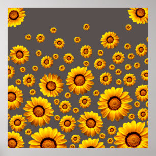 Beautiful yellow flowers on gray background poster
