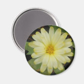 Beautiful Yellow Marigold Magnet (Vorderseite/Rückseite)