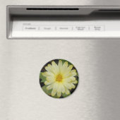 Beautiful Yellow Marigold Magnet (In Situ (Geschirrspüler))