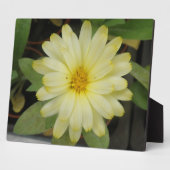 Beautiful Yellow Marigold Plaque Fotoplatte (Seite)