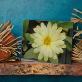 Beautiful Yellow Marigold Plaque Fotoplatte (Seite)