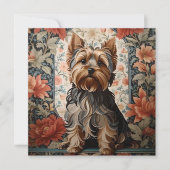 Beautiful Yorkie | Yorkshire Terrier Portrait (Vorderseite)