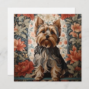 Beautiful Yorkie   Yorkshire Terrier Portrait