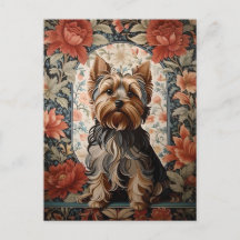 Beautiful Yorkie | Yorkshire Terrier Portrait