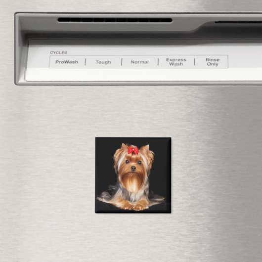 Beautiful Yorkshire Terrier Magnet (In Situ (Geschirrspüler))