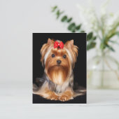 Beautiful Yorkshire Terrier Postkarte (Stehend Vorderseite)