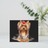 Beautiful Yorkshire Terrier Postkarte (Stehend Vorderseite)