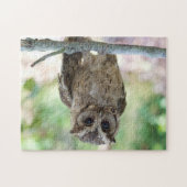 Beautiful Young Owl Jigsaw Puzzle (Horizontal)