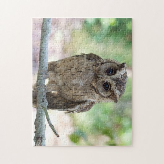 Beautiful Young Owl Jigsaw Puzzle (Vertikal)