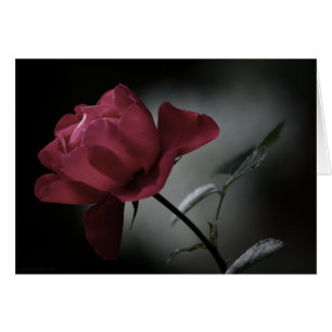 Beauty Card der Liebe