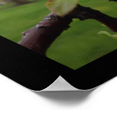 Beauty Comes Poster (Ecke)