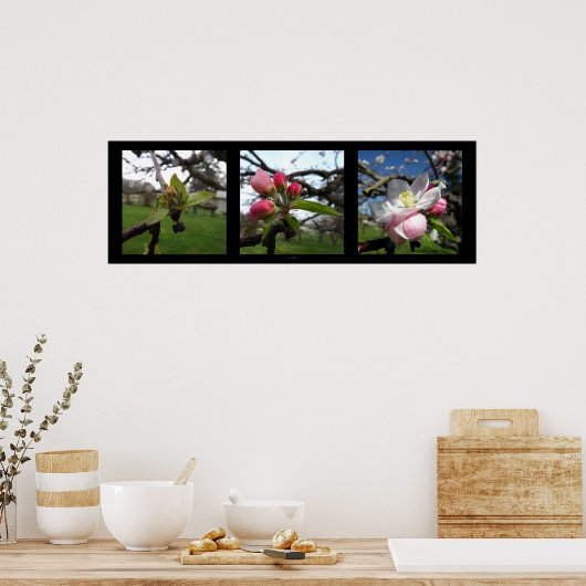 Beauty Comes Poster (Küche)