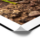 Beauty Custom Poster (Ecke)