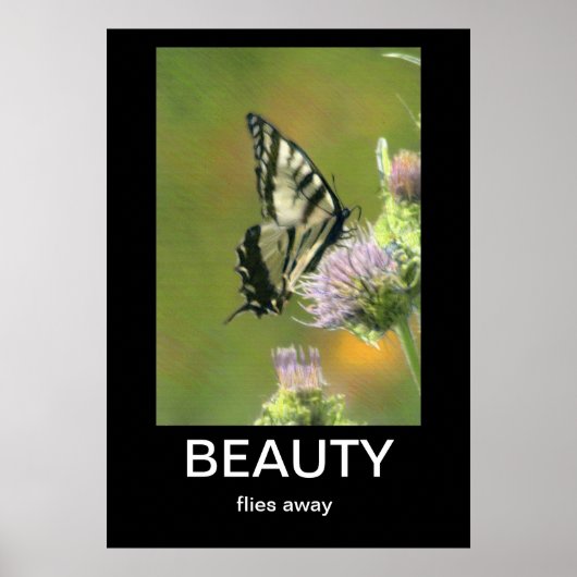 Beauty Demotivations-Poster Poster (Vorne)