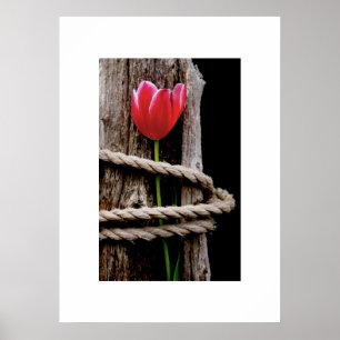 Beauty Held Hostage Poster