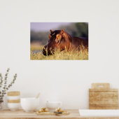 Beauty Hippopotamus Portrait Poster (Küche)