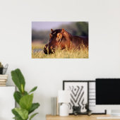 Beauty Hippopotamus Portrait Poster (Heimbüro)